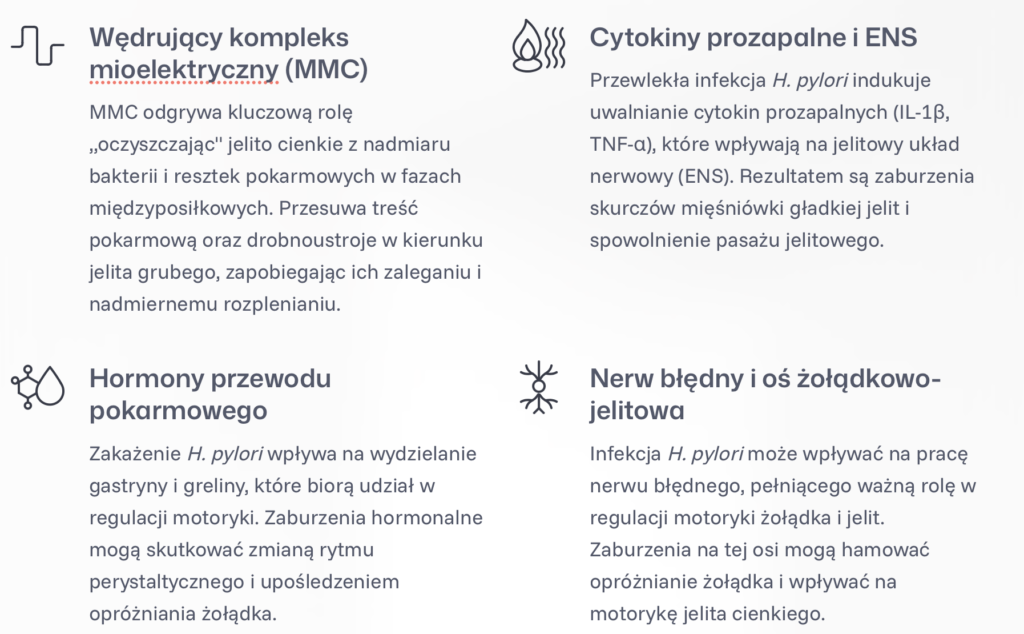 helicobacter a sibo a motoryka