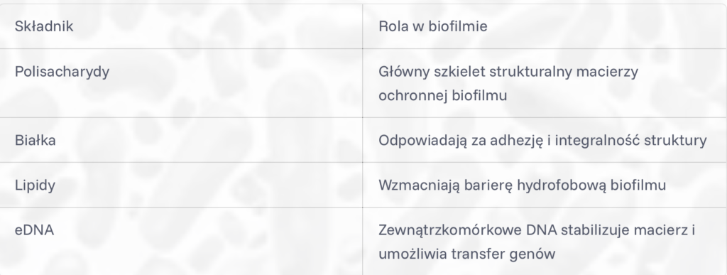 Zrzut ekranu 2026 05 22 o 09.01.34
