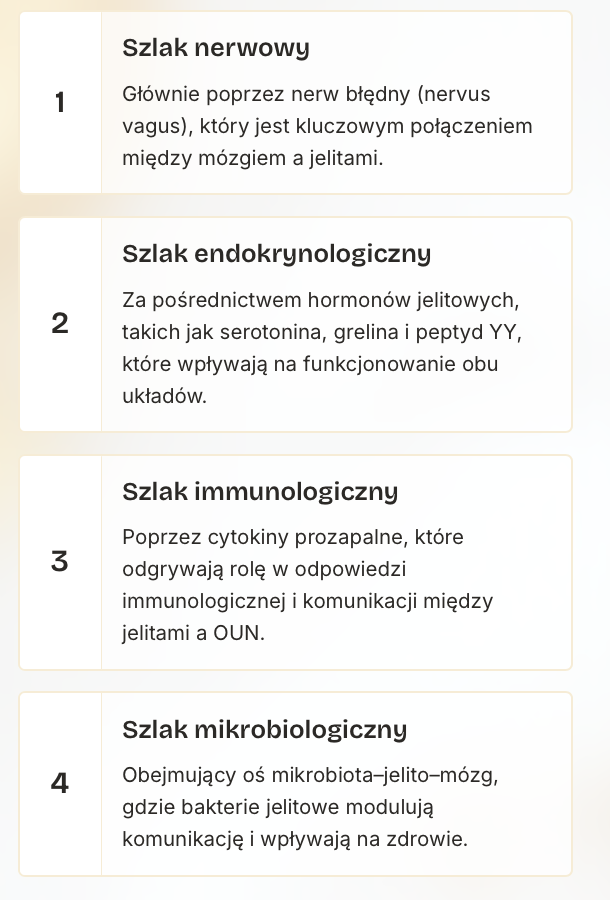 Zrzut ekranu 2026 06 19 o 10.55.34