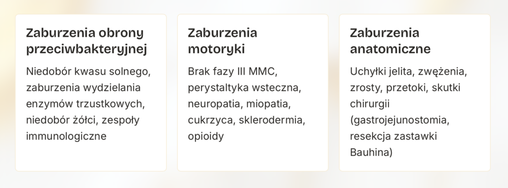 Zrzut ekranu 2026 07 21 o 08.20.40