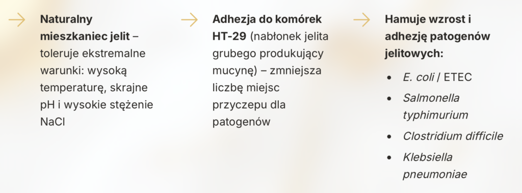 Zrzut ekranu 2026 07 21 o 08.47.34