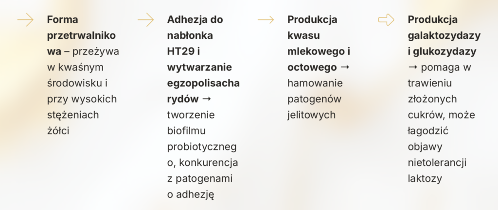 Zrzut ekranu 2026 07 21 o 08.48.53