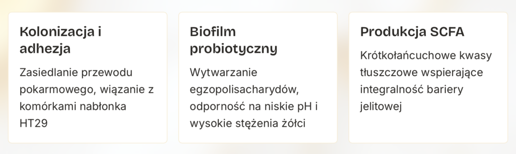 Zrzut ekranu 2026 07 21 o 08.51.12